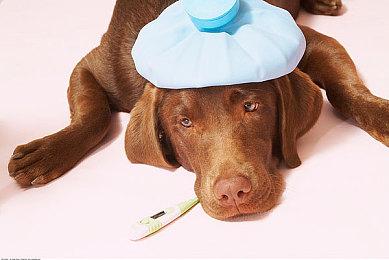 类8号出口恶搞新作《坤号出口》登陆Steam平台 已获特别好评